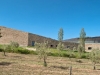 Bodega-La-Grajera-6